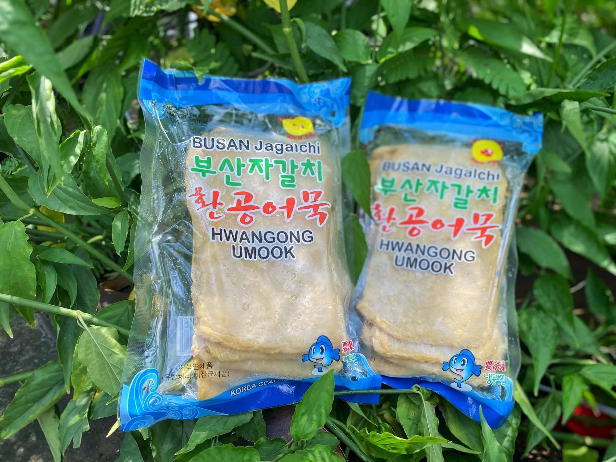 Chả cá lát Hàn Quốc